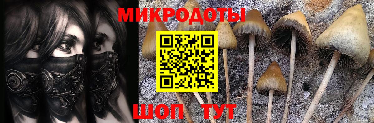 Псилоцибиновые грибы Magic Shrooms Железноводск