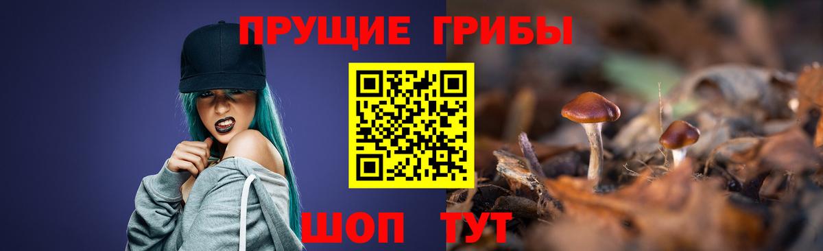 Железноводск  Псилоцибиновые грибы прущие грибы  Вход с VPN 